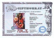 Гаппасов Рамиль Равильевич 