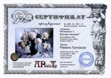 Натюрморт с белыми пионами