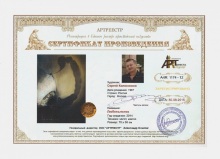 Любопытство