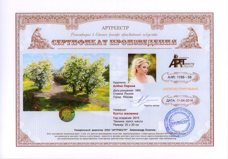 Кусты жасмина