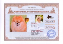 Профессор. Из серии `Собаки говорят`