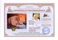 Риччи за книжкой. Из серии `Собаки говорят`