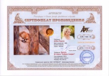 Прятки. Из серии `Собаки говорят`