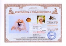 Характер Риччии. Из серии `Собаки говорят`