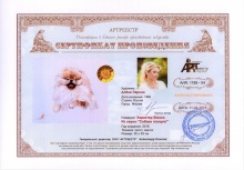 Характер Винни. Из серии `Собаки говорят`