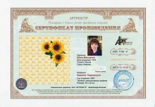 Береста. Подсолнухи