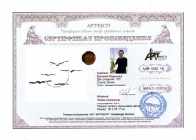 Чайки на солнце