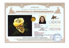 Хризантема. Кольцо