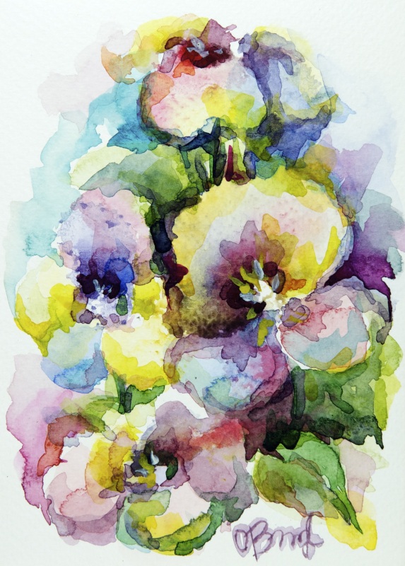 Анютины глазки