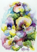 Анютины глазки