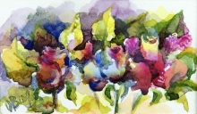 Розовый этюд