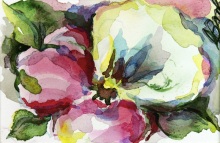 Солнце на ладони