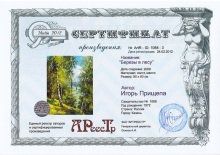 Березы в лесу