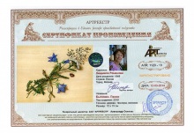 Былинки. Панно