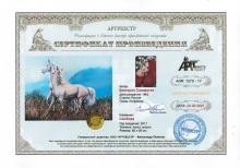 Самарская Виктория Валерьевна