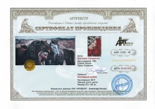 Последний рубеж