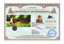 Кони игривые