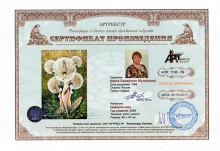 Одевуанчики