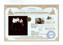 Орхидея и бабочка