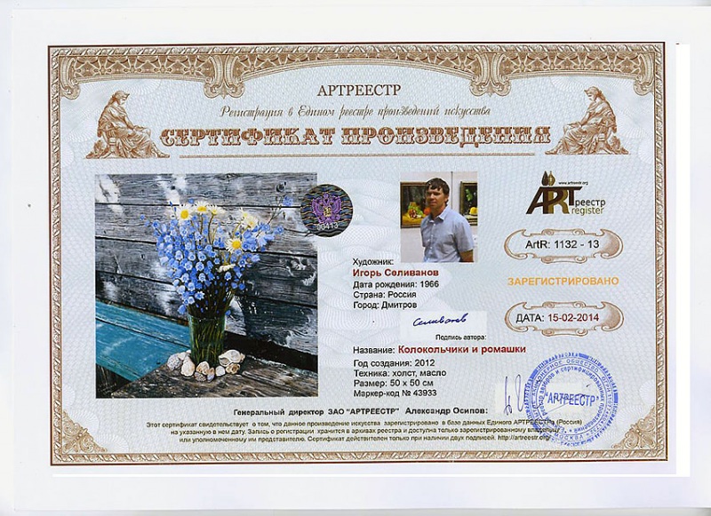 Колокольчики и ромашки