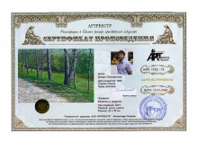 Березі у дороги