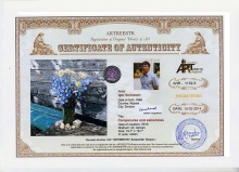 Campanules and camomiles