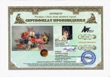 Шелухин Михаил Васильевич