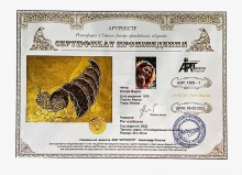 Вирго Наира