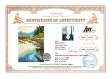 From the sky the asterisk fell. Lake Perovo