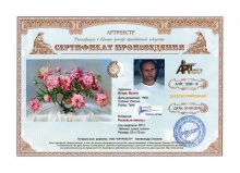 Розовые пионы