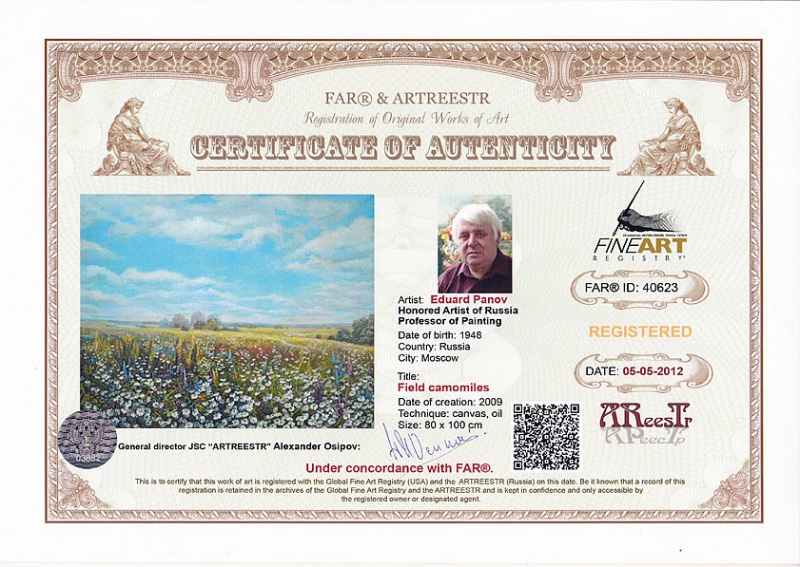 Поле ромашек