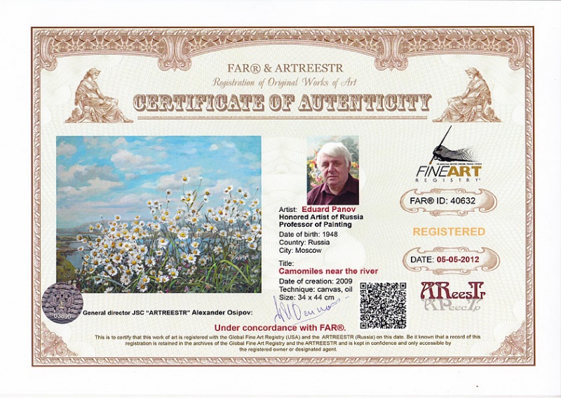 Ромашки у реки