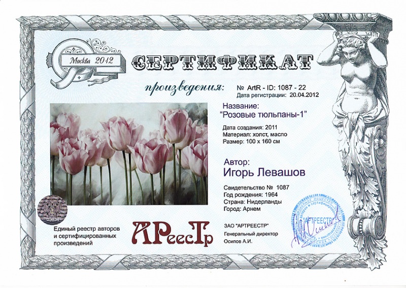 Розовые тюльпаны 1