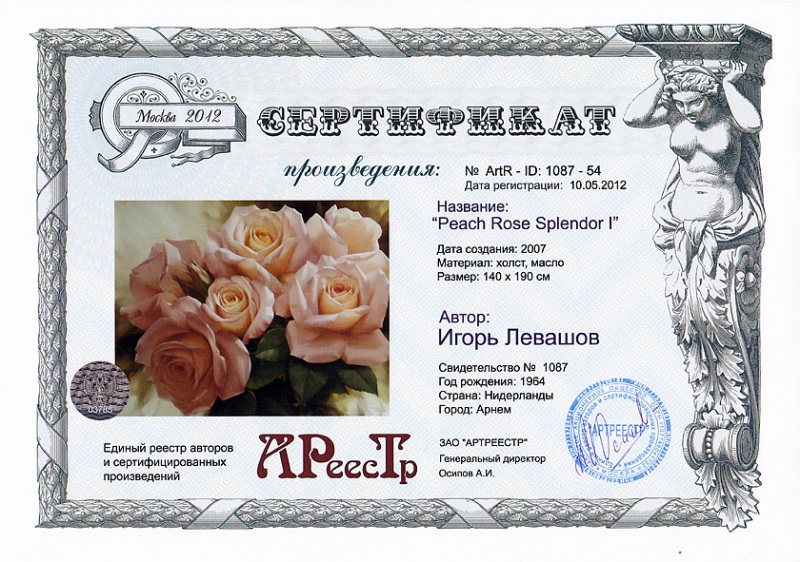 Peach Rose Splendor I