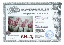 Розовые тюльпаны 2