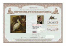 Пеликан (Нулевой вариант сертификата)