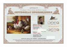 Птицы в парке (Нулевой вариант сертификата)