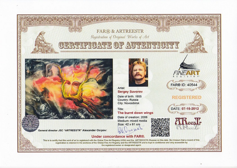 Сгоревшие крылья